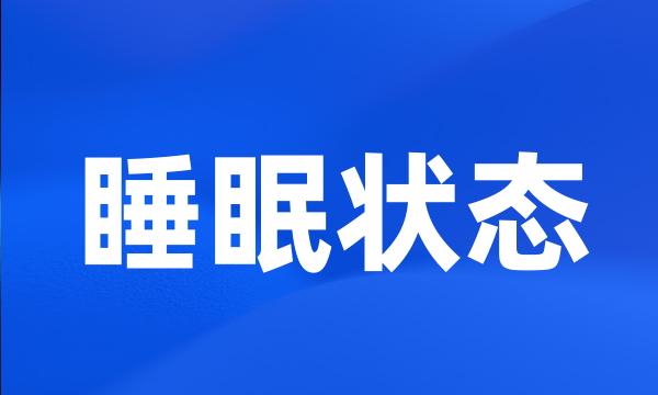 睡眠状态