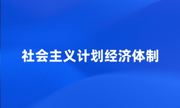 社会主义计划经济体制