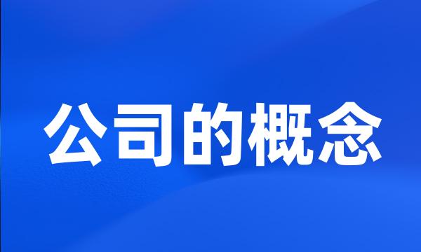 公司的概念