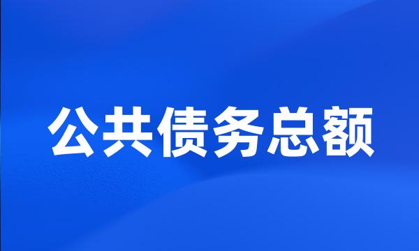 公共债务总额