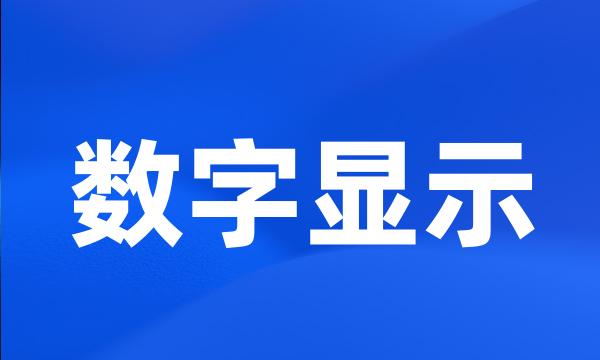 数字显示