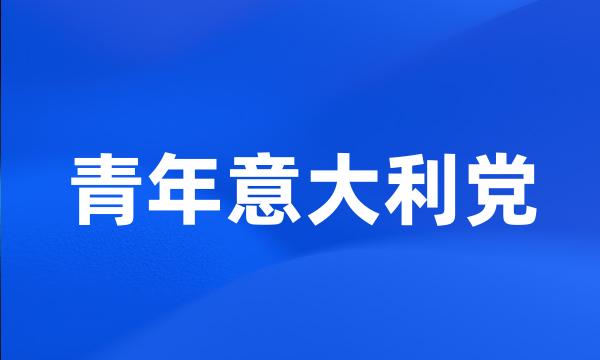 青年意大利党