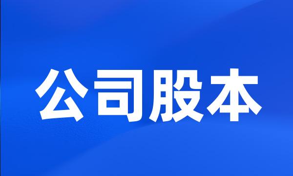 公司股本