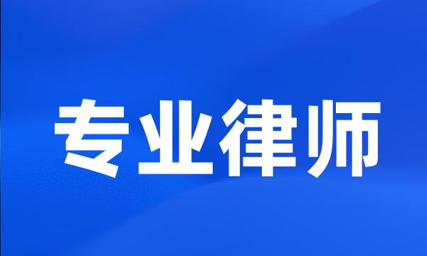 专业律师