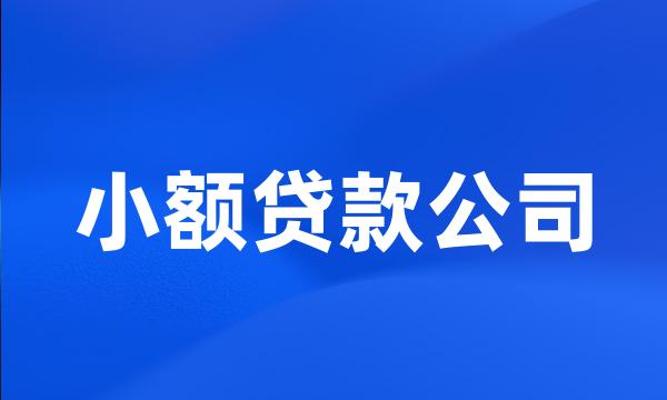 小额贷款公司