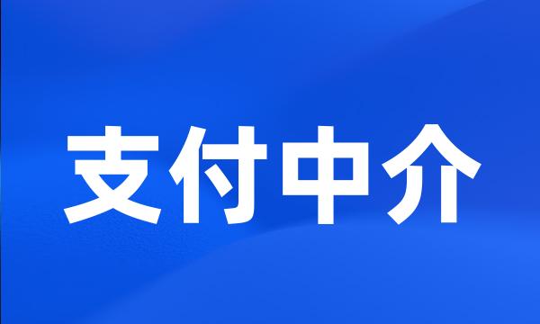 支付中介