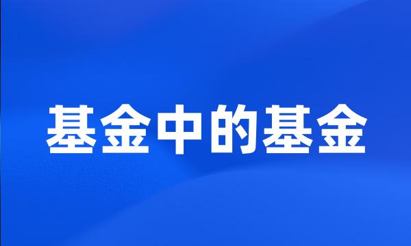 基金中的基金