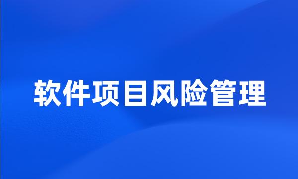 软件项目风险管理