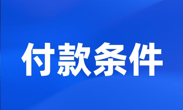 付款条件