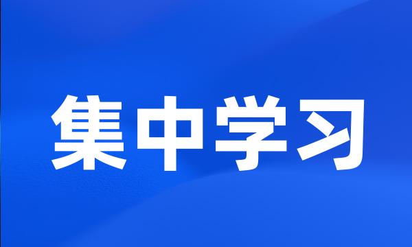 集中学习