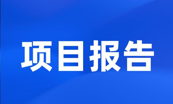 项目报告