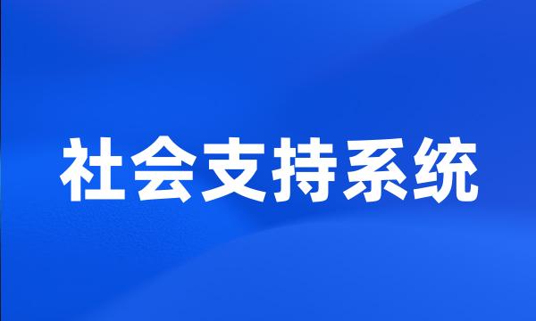 社会支持系统