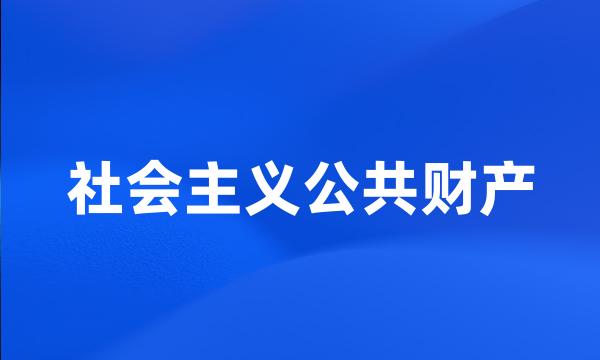 社会主义公共财产