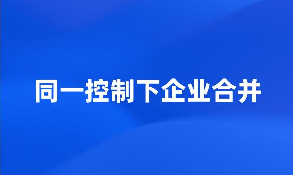 同一控制下企业合并