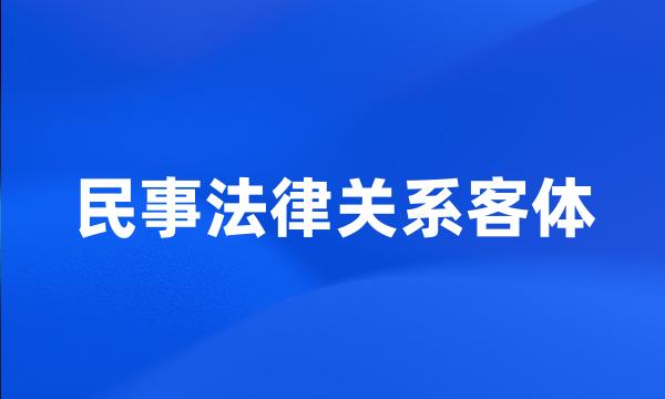 民事法律关系客体