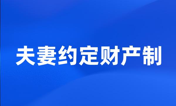 夫妻约定财产制