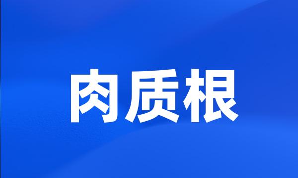 肉质根