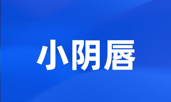 小阴唇