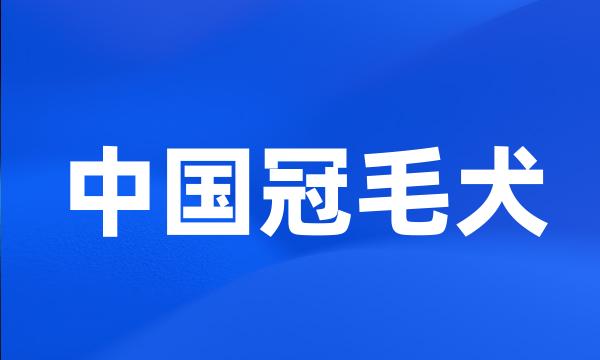 中国冠毛犬