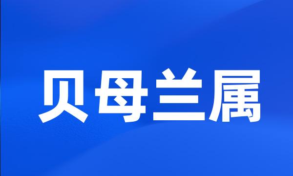 贝母兰属