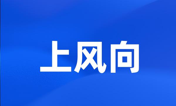 上风向