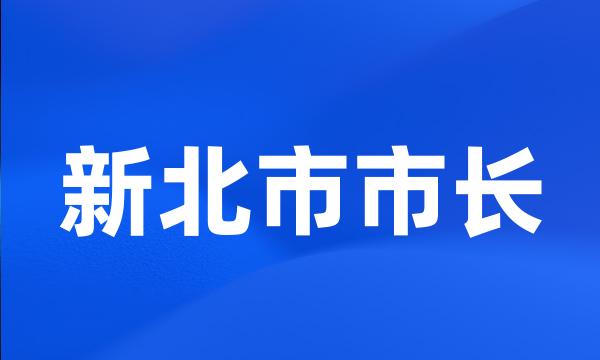 新北市市长