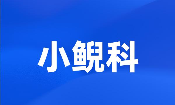 小鲵科