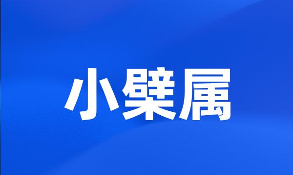 小檗属