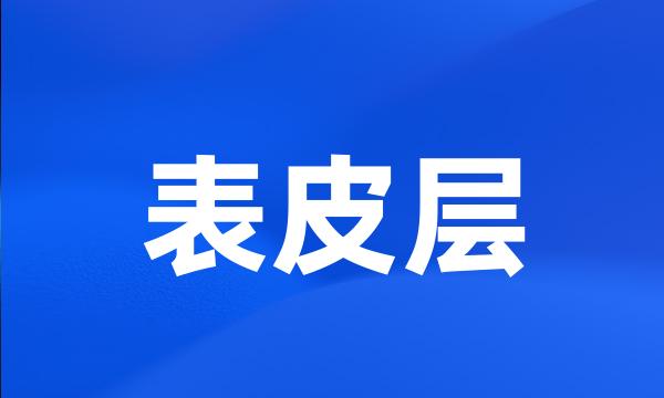 表皮层