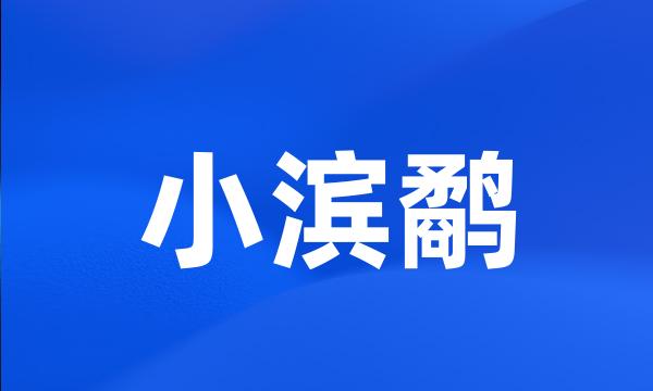 小滨鹬