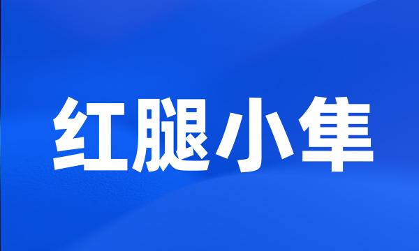 红腿小隼