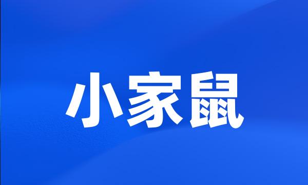 小家鼠