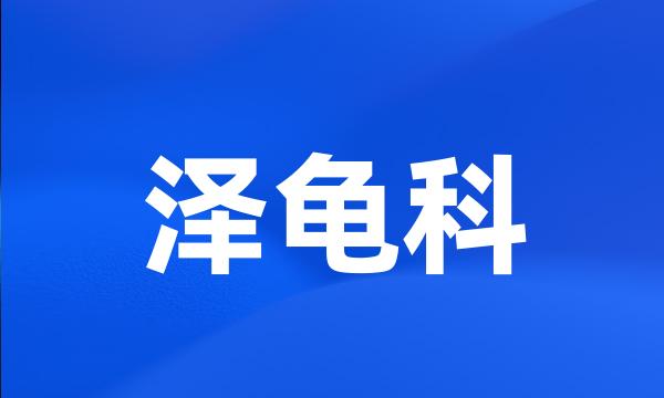 泽龟科