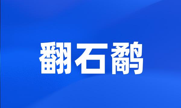 翻石鹬