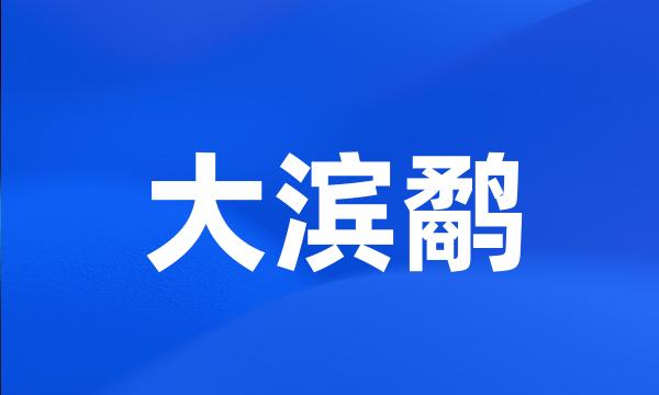 大滨鹬