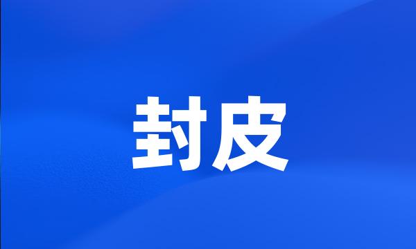 封皮