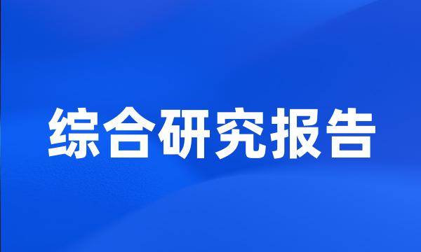 综合研究报告