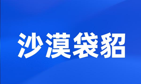 沙漠袋貂