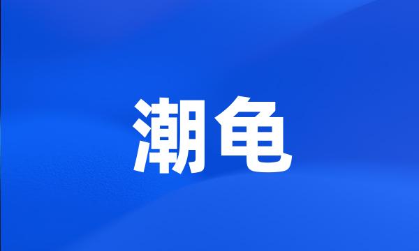 潮龟