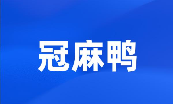 冠麻鸭