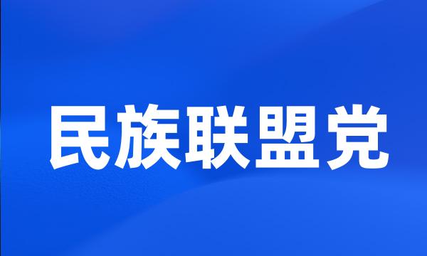 民族联盟党