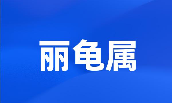 丽龟属