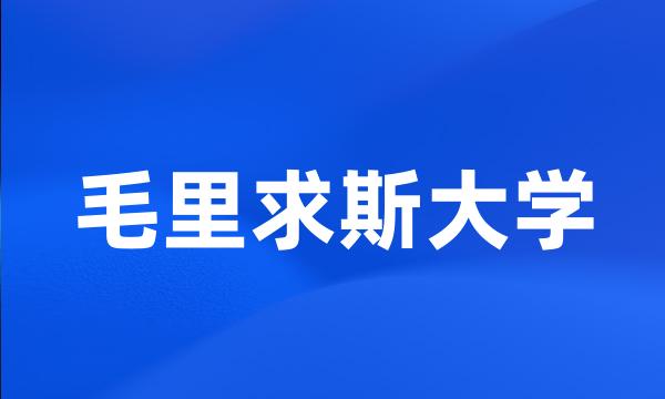 毛里求斯大学