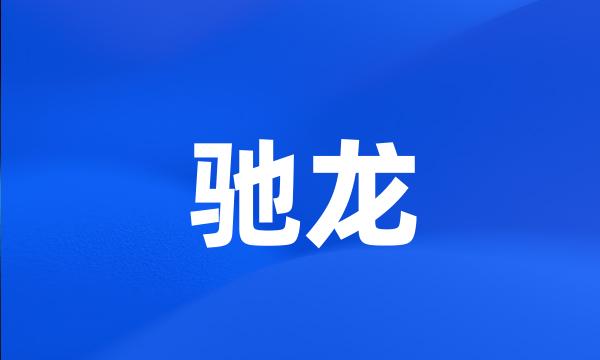 驰龙