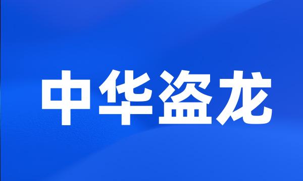 中华盗龙