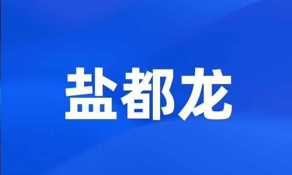 盐都龙