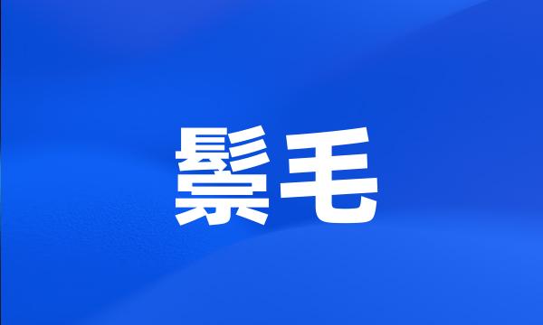 鬃毛