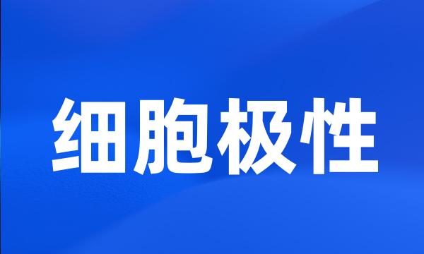 细胞极性