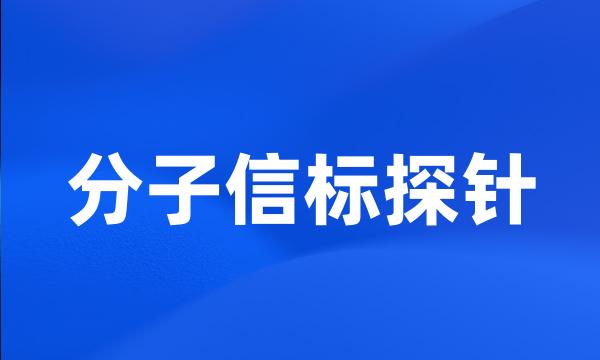 分子信标探针