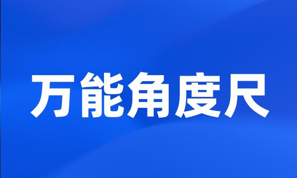 万能角度尺